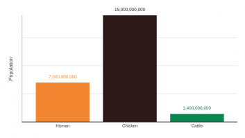 World chicken population