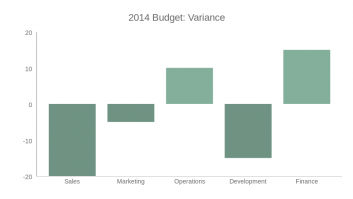 2014 Budget: Variance