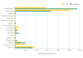 Energy Inputs in Vegetable & Fruits Production