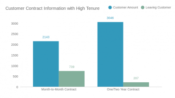 Customer Contract Information with High Tenure