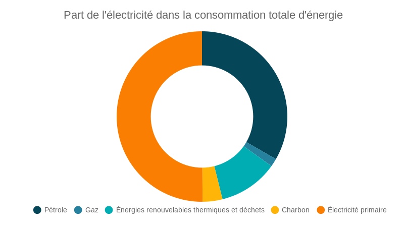 Part de l'électricité dans la consommation totale d'énergie (pie chart)