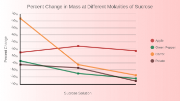 Copy of Percent Change in Mass at Different Molarities of Sucrose 