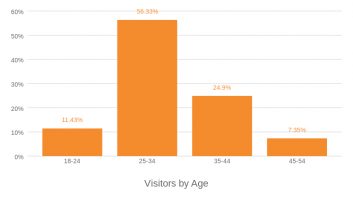 Visitors by Age