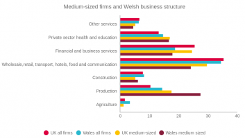 Medium-sized firms and Welsh business structure