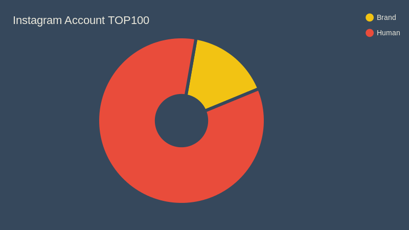 Instagram Account TOP100 (pie chart)