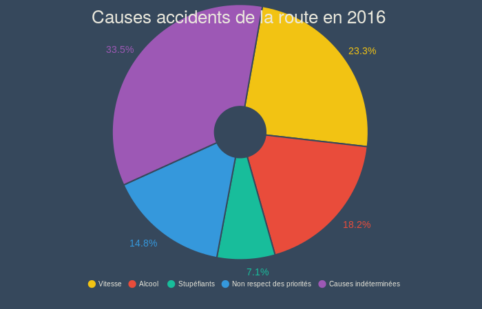 Causes accidents de la route (pie chart)