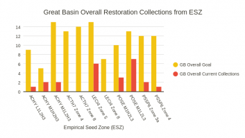 Restoration Collections from ESZ