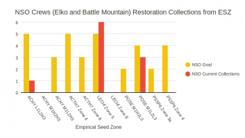 NSO Restoration Collections from ESZ