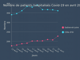 Nombre de patients hospitalisés Covid-19