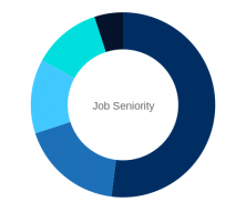 Job Seniority