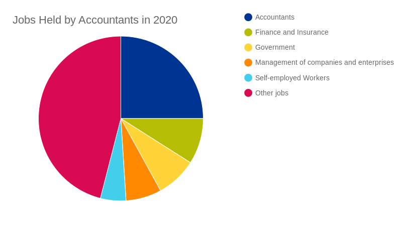 Jobs Held by Accountants in 2020 (pie chart)